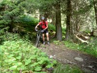 TA 2005-06-Tag-18 : MTB, Transalp, Transalp 2005