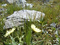 TA 2006-01-Tag-116 : MTB, Transalp, Transalp 2006