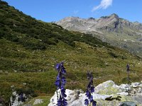 TA 2006-01-Tag-118 : MTB, Transalp, Transalp 2006