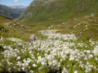 TA 2006-01-Tag-193 : MTB, Transalp, Transalp 2006