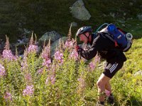 TA 2006-01-Tag-277 : MTB, Transalp, Transalp 2006