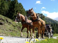 TA 2006-03-Tag-125 : MTB, Transalp, Transalp 2006