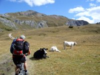 TA 2006-03-Tag-179 : MTB, Transalp, Transalp 2006