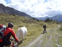 TA 2006-03-Tag-189 : MTB, Transalp, Transalp 2006