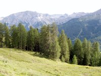 TA 2006-03-Tag-218 : MTB, Transalp, Transalp 2006
