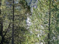 TA 2006-03-Tag-26 : MTB, Transalp, Transalp 2006