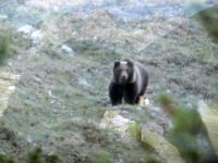 TA 2006-03-Tag-58 : MTB, Transalp, Transalp 2006