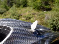 TA 2006-05-Tag-55 : MTB, Transalp, Transalp 2006