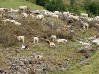 TA 2006-06-Tag-13 : MTB, Transalp, Transalp 2006