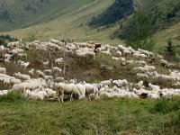 TA 2006-06-Tag-14 : MTB, Transalp, Transalp 2006