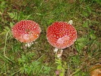 TA 2006-07-Tag-47 : MTB, Transalp, Transalp 2006
