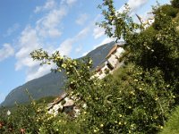 TA 2006-08-Tag-48 : MTB, Transalp, Transalp 2006