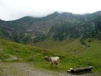 TA 2007-05-Tag-18 : MTB, Transalp, Transalp 2007 Ersatz