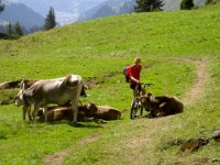 Ralf mit seinen Freunden : MTB, Transalp, Transalp 2008