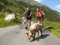 kurz vor der Freiburger Hütte : MTB, Transalp, Transalp 2008