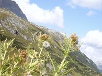TA 2008-01-Tag-54 : MTB, Transalp, Transalp 2008