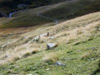 ein Murmeltier am Wegesrand : MTB, Transalp, Transalp 2008