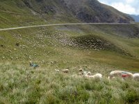 TA 2008-08-Tag-15 : MTB, Transalp, Transalp 2008
