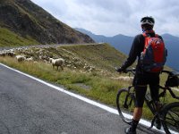 TA 2008-08-Tag-22 : MTB, Transalp, Transalp 2008