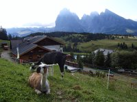 TA 2009-5-Tag-42 : 5.Tag, MTB, Transalp, Transalp 2009