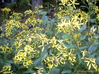 TA2010-05-021