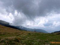 TA2010-05-033