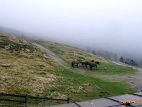 TA2010-05-037