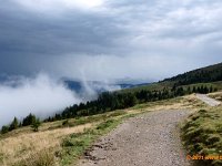 TA2010-05-054