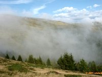TA2010-05-065