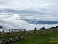 TA2010-06-002
