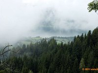 TA2010-06-005