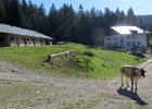 TA-2012-07--012 : 07. Tag, MTB, Transalp, Transalp 2012