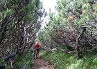 Exif JPEG PICTURE : 07. Tag, MTB, Transalp, Transalp 2012