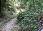 TA-2012-08--008 : 08.Tag, MTB, Transalp, Transalp 2012