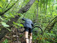 TA2014-04-0016 : 4.Tag, MTB, Transslovenia 2014