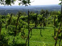 TA2014-05-0024 : 05. Tag, 5.Tag, MTB, Tolkan nach Solkan, Transalp, Transalp 2012, Transslovenia 2014