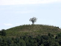 schöne Landschaften : 05. Tag, 5.Tag, MTB, Tolkan nach Solkan, Transalp, Transalp 2012, Transslovenia 2014