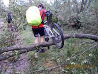 TA2014-06-0025 : 6.Tag, MTB, Solkan - Lipica, Transslovenia 2014