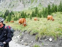 TA2015-05-0010 : Gsteig Moustiers, MTB, Transalp, Transalp 2015