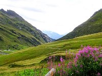 TA2015-06-0001 : Gsteig Moustiers, MTB, Transalp, Transalp 2015