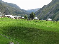 DSC01871