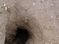 mitten auf dem Weg sehen diese großen Höhleneingänge