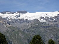 DSC01950