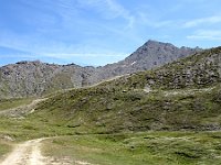 DSC01955