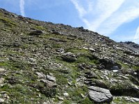 DSC01975