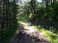 schöne Wege zum warmfahren