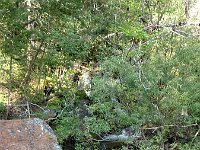 DSC02070