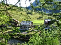 DSC02071