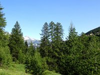 DSC02073