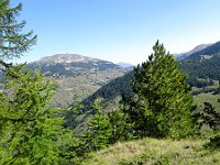 DSC02088